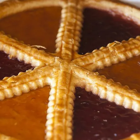 Oda ve Kahvaltı Domus In Viridi