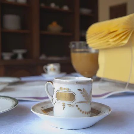 Bed & Breakfast Domus In Viridi