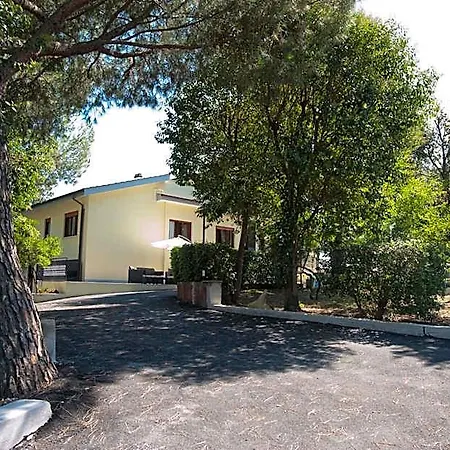 Domus In Viridi