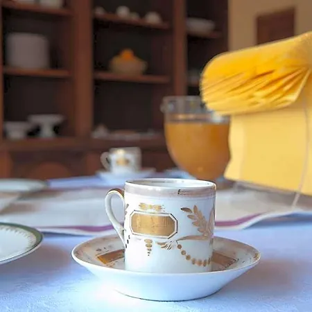 Domus In Viridi Bed & Breakfast 2*