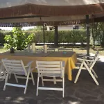 Domus In Viridi